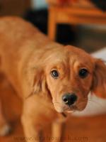 156_DSC_0867_CRoP_auto_res.JPG